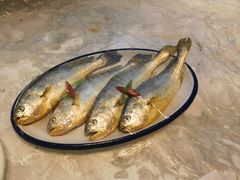 -山海菜馆·海肠捞饭·青岛菜(栈桥店)