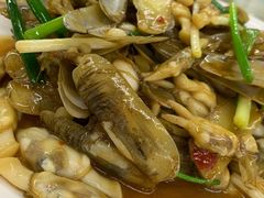 姜葱炒圣子-明记海鲜大排档(巽寮湾店)