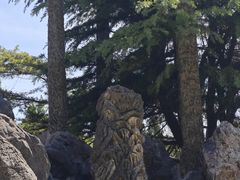 -泰州凤城河风景区-泰山公园