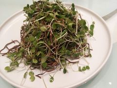 -城南往事(滨江世茂店)