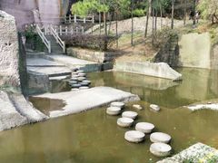 -蛇蟠岛