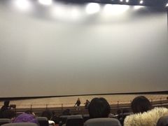 -天幕新彩云国际影城(激光巨幕店)