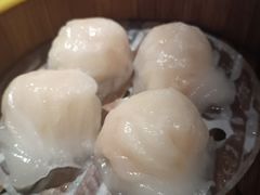 晶莹虾饺皇-颐和•海鲜砂锅粥•啫啫煲(奥林匹克广场店)