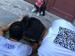-超宠爱宠物摄影-Super pet