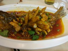 -泰煌鸡·上海白斩鸡·沪菜(平利店)