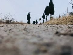 -暹罗海洋世界