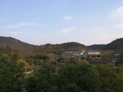 -龙吟九品(青龙山庄店)