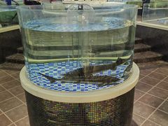 -海鲜码头·中国菜