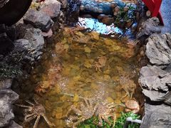-綱元·海鲜豆捞(明州里店)