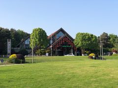 -铁山坪森林公园