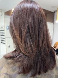 -镁连社·美联社