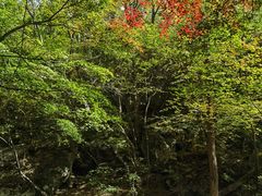 -丹东天桥沟景区