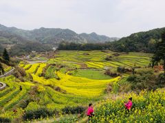 -灵山景区梯田