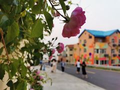 -大京园海鲜烧烤(东城路店)