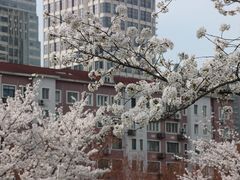 -静安雕塑公园