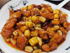 传统宫保鸡丁-力力豆花庄(广渠门店)