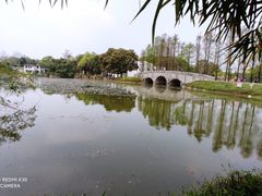 -中国科学院华南植物园