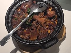 -新概念来凤鱼(璧山店)