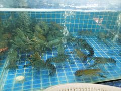 -星记小馆·小蓝龙·老南京砂锅菜(上海路店)