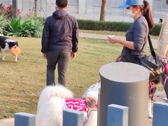 -景田北六街公园宠物主题园