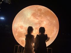 -花博汇(知音花月夜)