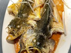 -前海沿·青岛菜(五四广场永旺店)