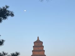 -大慈恩寺(大雁塔)