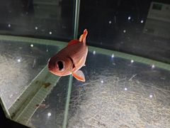 -邯郸海洋世界
