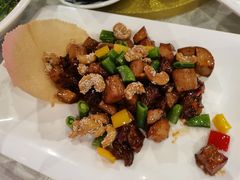 -大树头森林餐厅(番禺广场店)