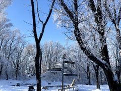 -中旅松花湖滑雪场