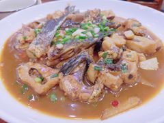 -全乐鱼馆·淳牌有机鱼直营店