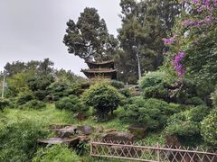 -昆明市金殿名胜区