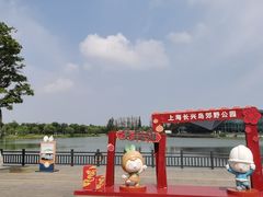 -上海长兴岛郊野公园