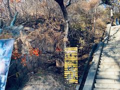 -北山公园