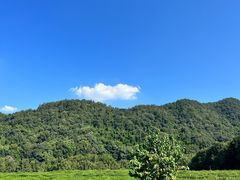 -中国茶叶博物馆(双峰馆区)