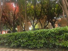 -唐城墙遗址公园