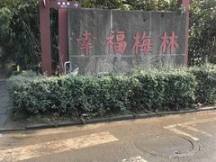 -三圣花乡旅游区