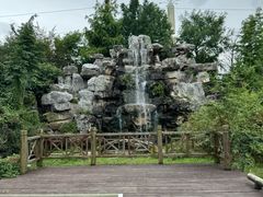 -上海海湾国家森林公园