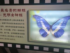 -上海昆虫博物馆