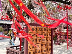 -祥源·阜阳生态乐园