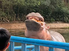 -广州长隆飞鸟乐园