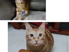 -联合动物医院(光谷诊疗中心)