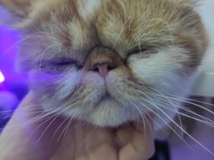 -极木²邸 人与宠物·互动社区