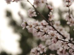 -鬼笑石后山停车场