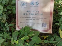 -西湖风景区十里琅珰-五云山