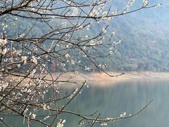 -广州市流溪河国家森林公园