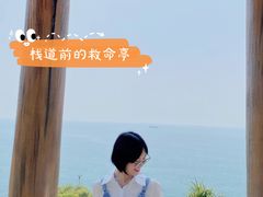 -广东惠东海龟国家级自然保护区