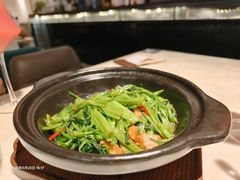 -港丽餐厅(天河城店)