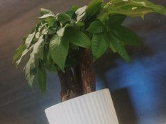 -鹿栖(佛山季华园店)