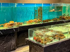 -许家菜.艺创菜(仁和新城店)